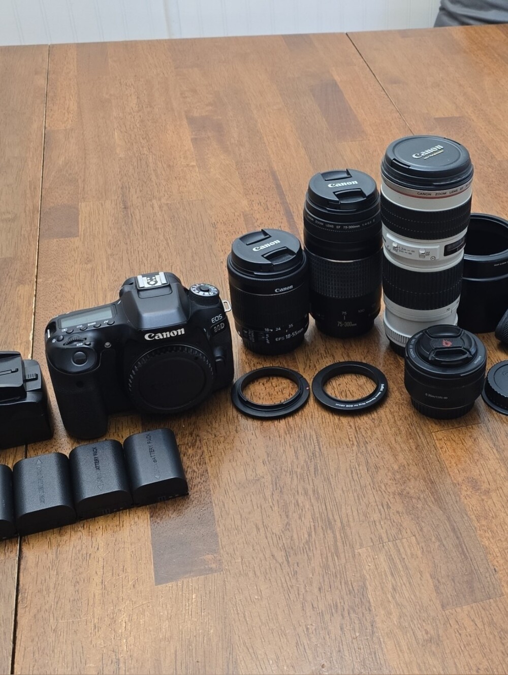 Canon 80D Camera Kit with Multiple Lenses